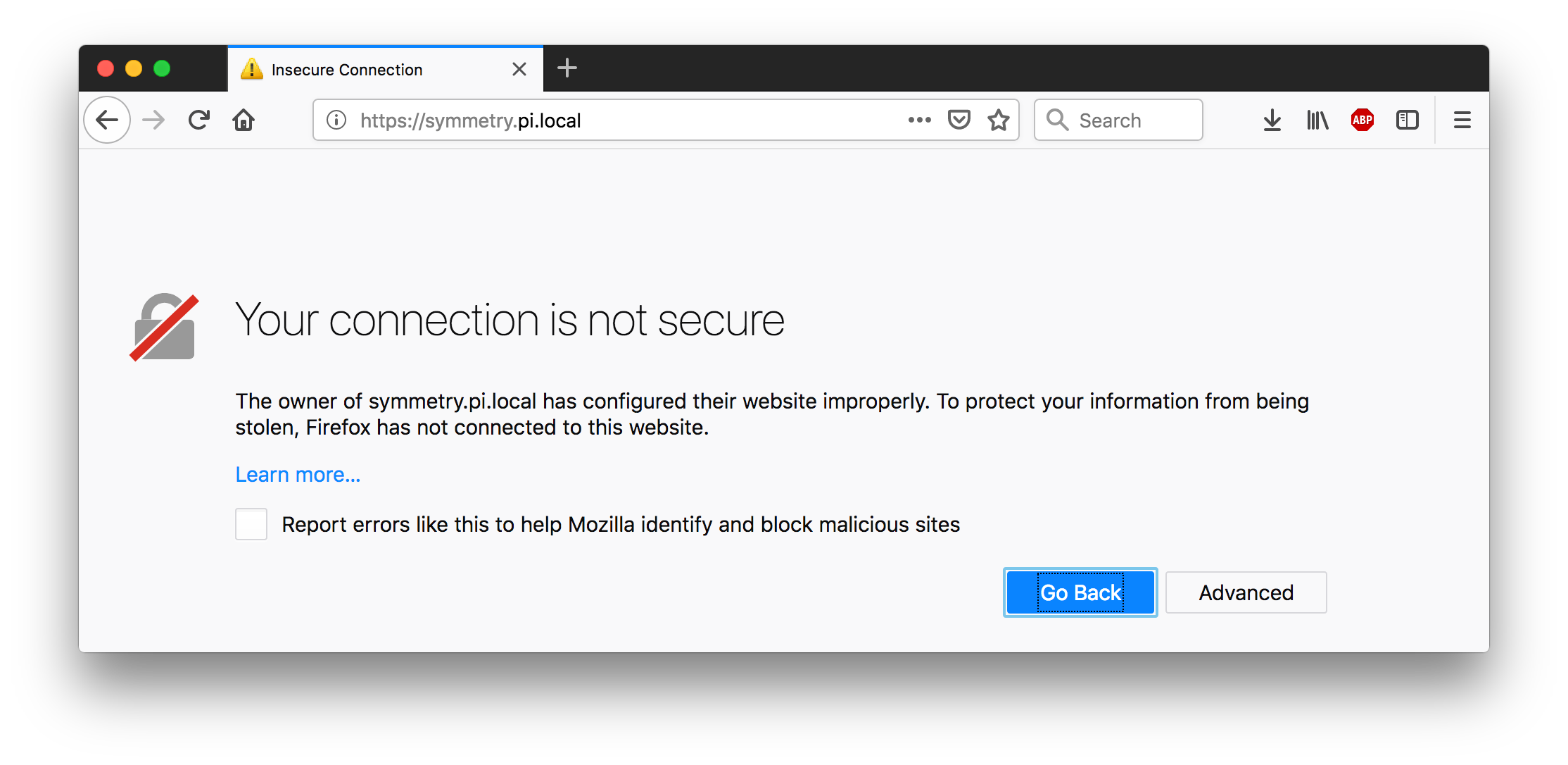 screenshot of https://symmetry.pi.local, with security warning